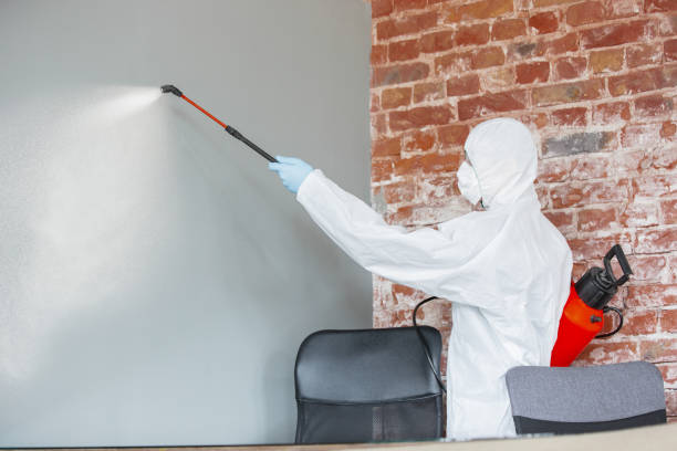 Coopersville, MI Mold Removal Company