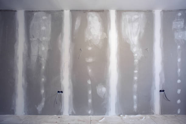 Best Biohazard Mold Removal  in Coopersville, MI